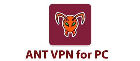 Best Vpn Torrentfreak