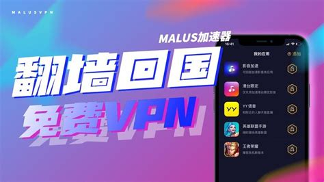 Vpn To Protect My Privacy